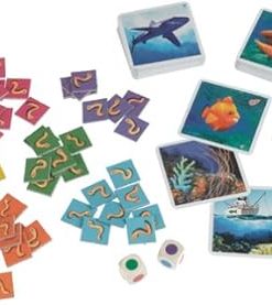 The Reef: Explore the Beauty of Nature’s Underwater Paradise 2