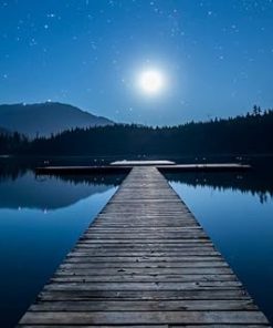 Rock Bull Moonlight Art Print Canvas 24×16 Inches Unframed