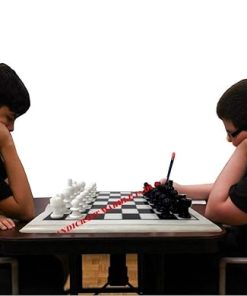 The Queen’s Gambit 15″ Inch White Marble Chess Board With Black Blocks & Marble Chess Pieces, Chess Piece Names, Chess Unblocked, Best Chess Players Of All Time