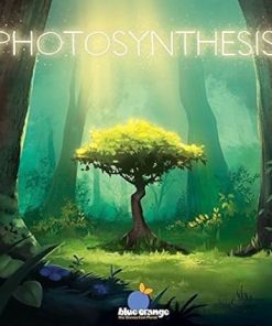 Family Game of Blue Orange Photosynthesis for Fun Learning Activities 2