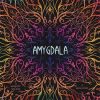 Amygdala Resource Collecting Game by Game Brewer for 2 to 4 Players