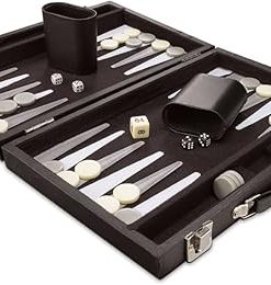 Backgammon Game with Carrying Case for Collectors and Players
