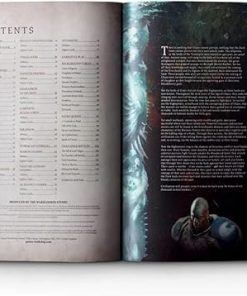 Warcry Sentinels of Order by Games Workshop – Strategy and Miniatures 2
