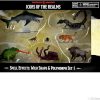 D&D Icons of the Realms Wild Shape Polymorph Set 1 Release Details