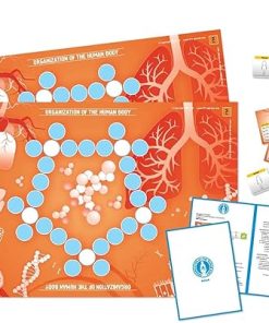 Human Body Biology Board Game Organization Tips and Ideas