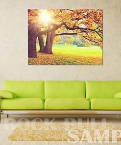 Rock Bull Moonlight Art Print Canvas 24×16 Inches Unframed 2