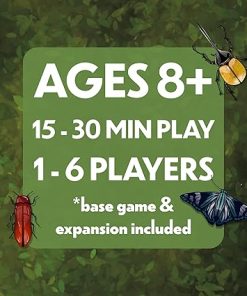 Jewel Box Base Game and Expansion for Ultimate Gaming Experience 2