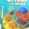 Sleeping Gods Explore The Wandering Sea Cooperative Board Game for 4 Players 3