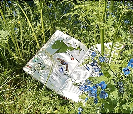 Herbalist’s Primer Hardcover Guide to Magical Plants for Tabletop RPGs 2 Herbalist's Primer Hardcover Guide to Magical Plants for Tabletop RPGs - Image 2