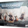 Warhammer 40000 Adepta Sororitas Celestian Sacresants Guide