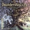 Thames and Kosmos DruidenWalzer Board Game Review and Overview