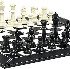 Hudson Street Double Weighted Plastic Chessmen with Extra Queens Set 2