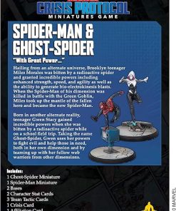 Ghost Spider and Spider Man Character Pack for Your Collection 2