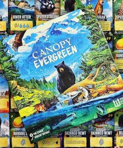 Canopy Evergreen Board Game for 1 to 4 Players Ages 10 and Up 2