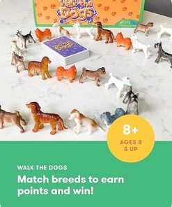 SimplyFun Walk The Dogs Math Game for Kids Ages 8 and Up with Counting 2