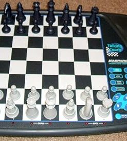 Kasparov Discusses Coaching Strategies for Chess and Computer Use