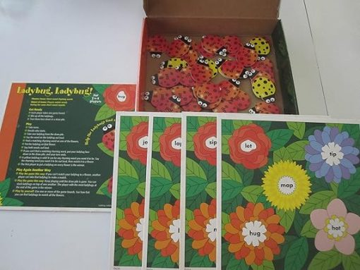 Ladybug Phonics Game for Short Vowel Rhyming Words Fun Learning