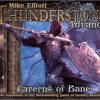 AEG Thunderstone Advance Caverns of Bane Board Game Review